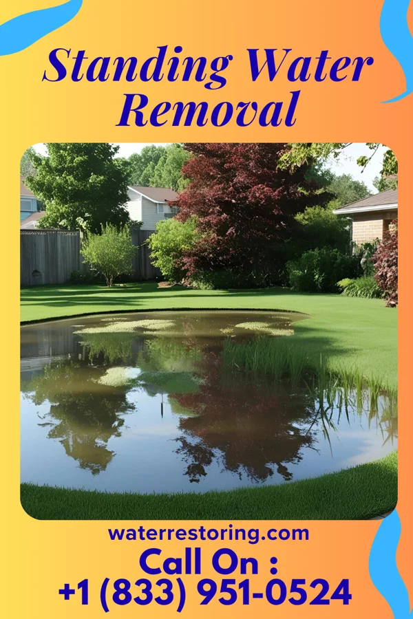 Standing Water Removal in Suffield Depot, CT